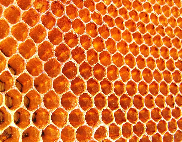 100820_Honeycomb