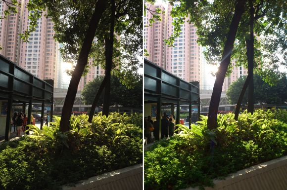 title=Tree_iPhone4S-arc-tile-small