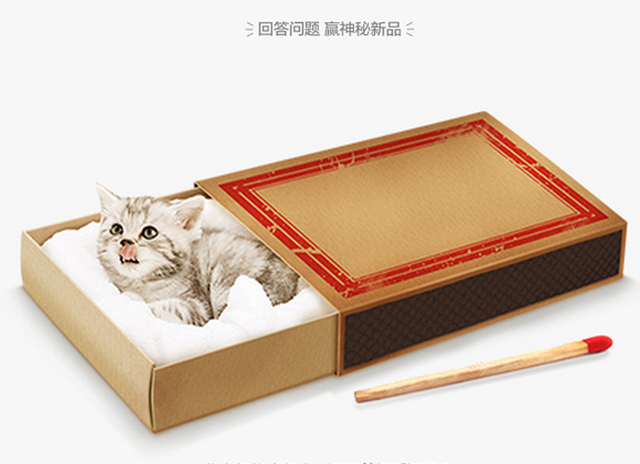 matchbox_cat