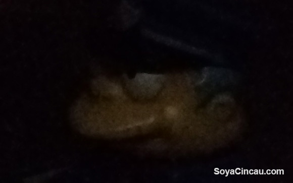 150522-htc-one-m9-plus-highres-crop