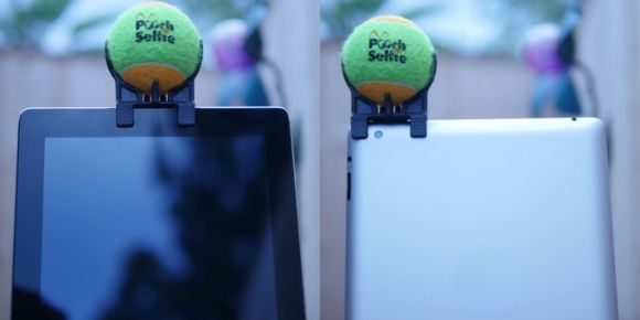 150928-Pooch-Selfie-05