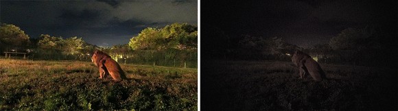 161207-casio-fr110H-camera-action-2