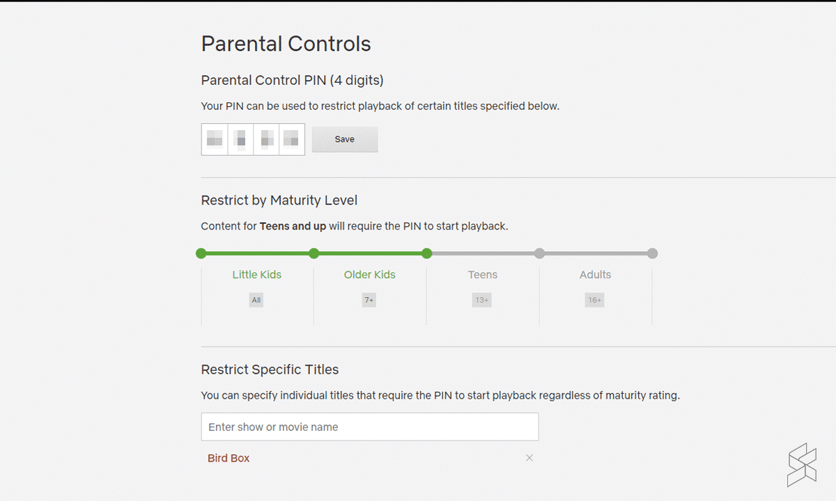 Netflix parental control pin