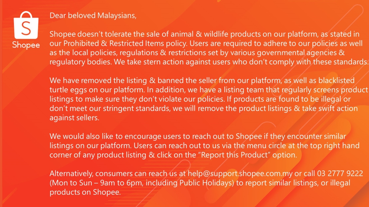 Shopee Turtle egg violate policy